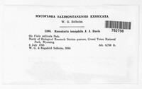 Image Associated With the Occurence